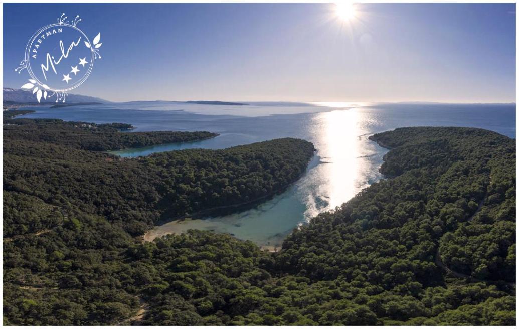 Apartman Mila Barbat na Rabu Exteriér fotografie
